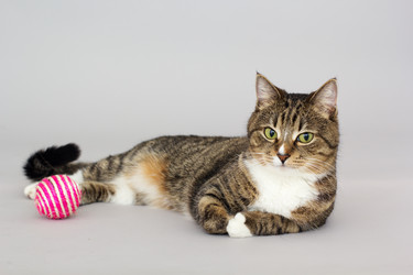 Similar image 10953606