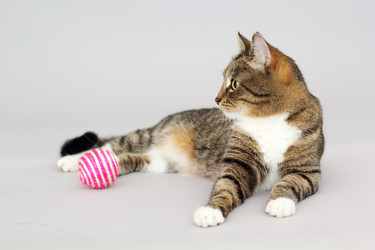 Similar image 10953608