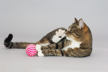 Similar image 10953614