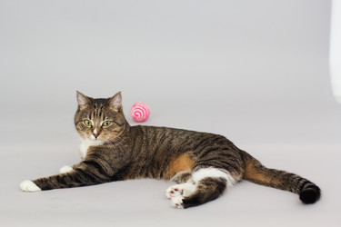 Similar image 10953618