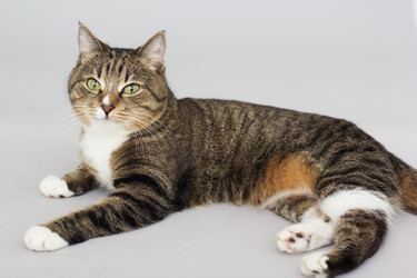 Similar image 10953456