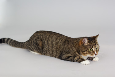 Similar image 10953459