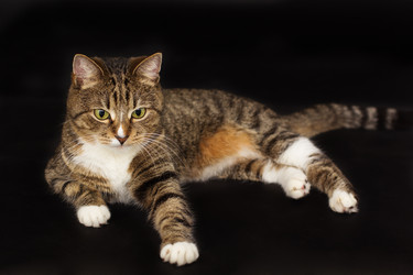 Similar image 10953461