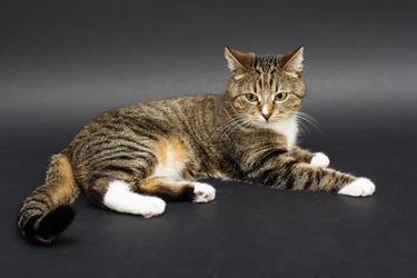 Similar image 10953462