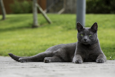 Similar image 10927930