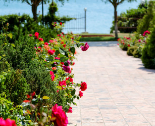 Similar image 10927495