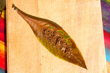 Similar image 10930083