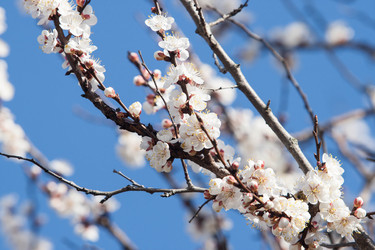 Similar image 10927464