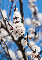 Similar image 10927465