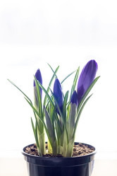 Similar image 10932879