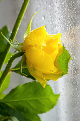 Similar image 10932896