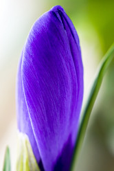 Similar image 10928424