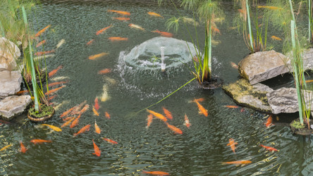 Similar image 10928704