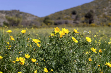 Similar image 10928642