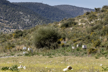 Similar image 10928643