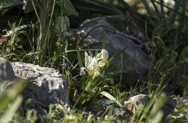 Similar image 10928644