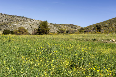 Similar image 10928647