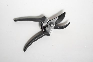 Similar image 10933262