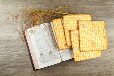 Similar image 10929762