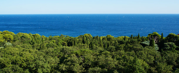 Similar image 10928441