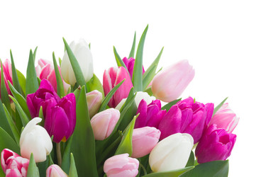 Similar image 10937028