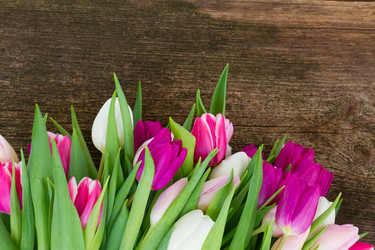 Similar image 10937066