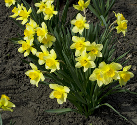 Similar image 10928685