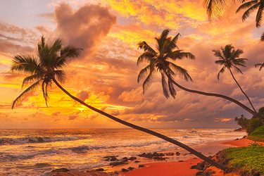 Similar image 10929559