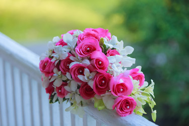 Similar image 10929810