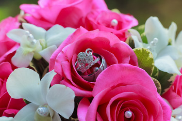 Similar image 10929811