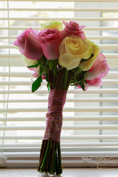 Similar image 10929835