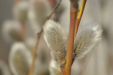 Similar image 10928430