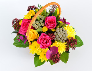 Similar image 10928803