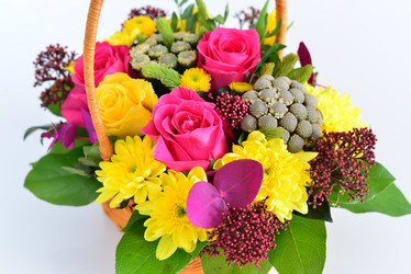 Similar image 10928819