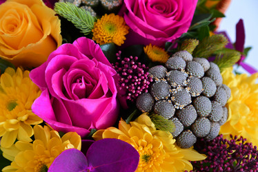 Similar image 10928823