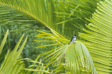 Similar image 10928786