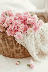 Similar image 10929273