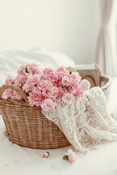 Similar image 10929274