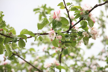 Similar image 10929082