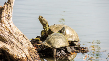 Similar image 10929886