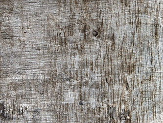 Similar image 10929256