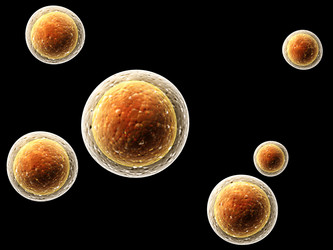 Similar image 10936166