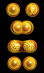 Similar image 10935787