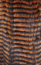 Similar image 10935838