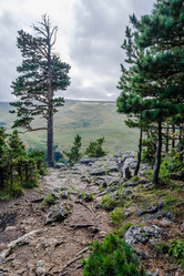 Similar image 10929432