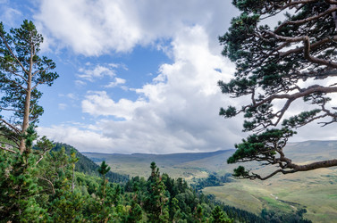 Similar image 10929436