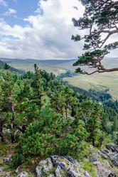 Similar image 10929437