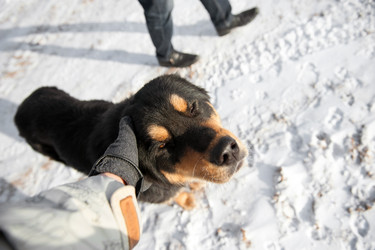 Similar image 10930395