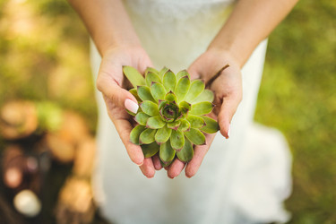 Similar image 10930033