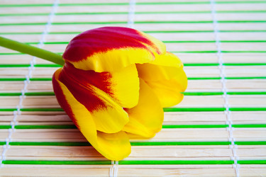 Similar image 10930127